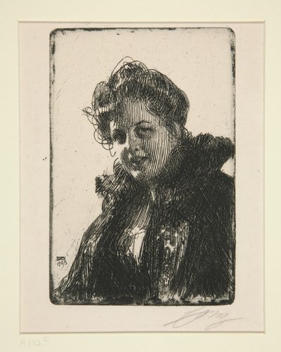  door Anders Zorn
