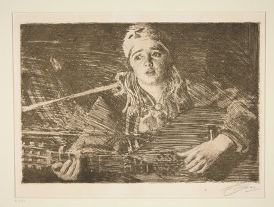  door Anders Zorn