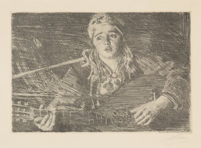  door Anders Zorn
