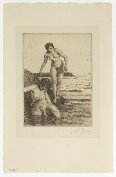 Op Hemsö Eiland door Anders Leonard Zorn