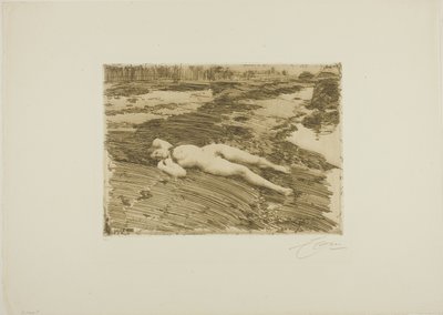 Op het Zand door Anders Leonard Zorn