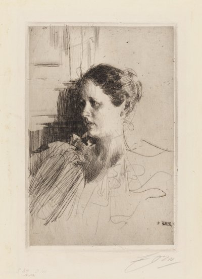  door Anders Zorn