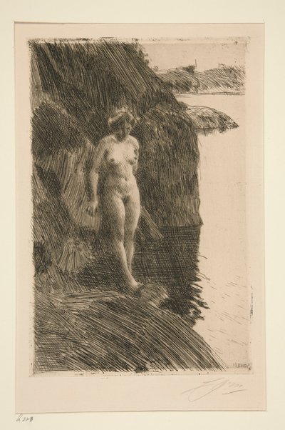 Afgrond door Anders Leonard Zorn