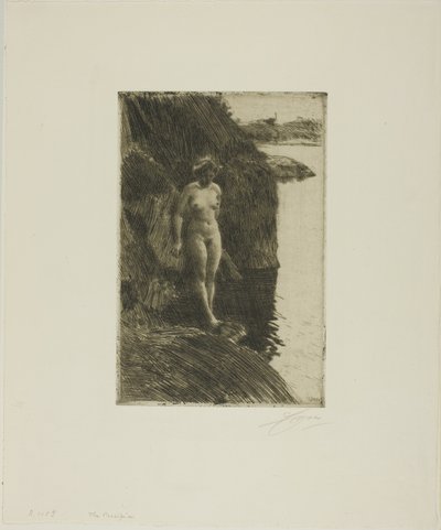 Afgrond door Anders Leonard Zorn