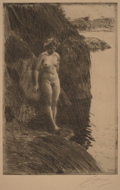  door Anders Zorn