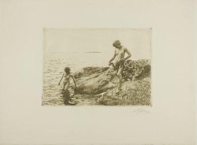 Zeezijde Skerries door Anders Leonard Zorn