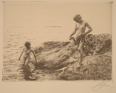  door Anders Zorn