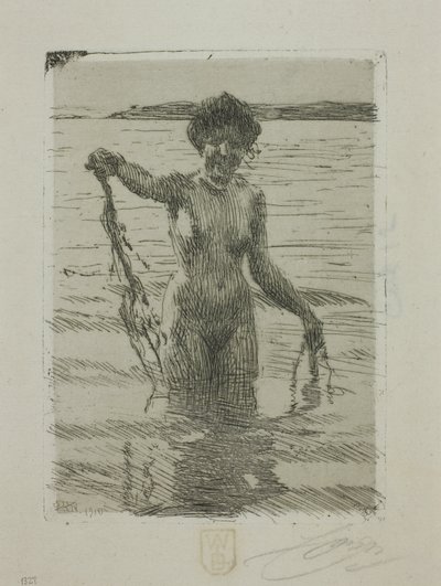 Zeewier door Anders Leonard Zorn