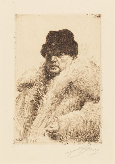 door Anders Zorn