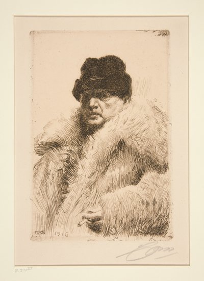  door Anders Zorn