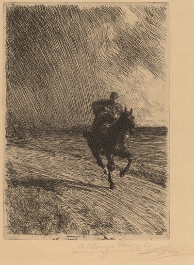 Storm door Anders Leonard Zorn
