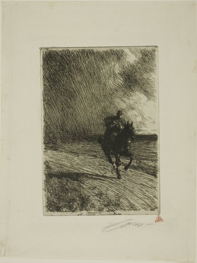 Storm door Anders Leonard Zorn