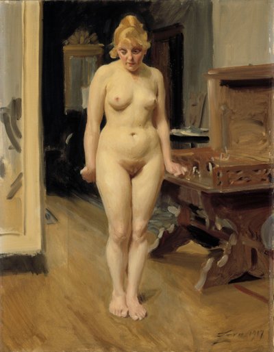  door Anders Zorn