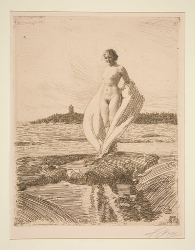 De zwaan door Anders Leonard Zorn