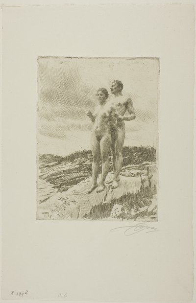 De Twee door Anders Leonard Zorn