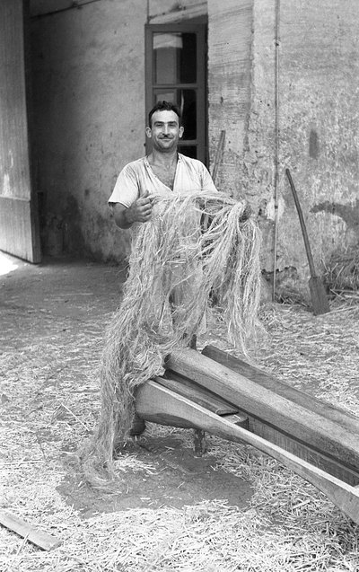  door Ando Gilardi