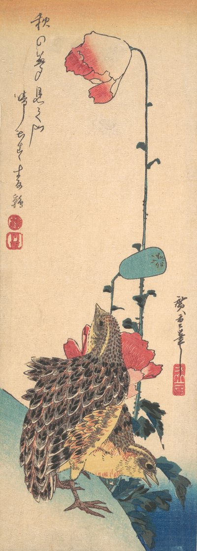 Een Paar Kwartels en Klaprozen, ca. 1835 door Ando Hiroshige