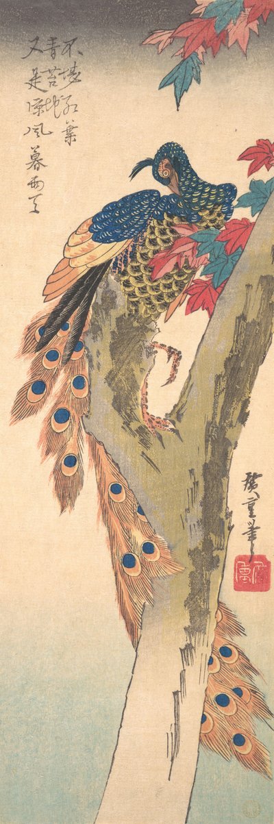 Een Pauw op een Esdoorn door Ando Hiroshige