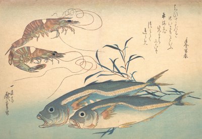 Aji-vis en Kuruma-ebi, uit de serie Uozukushi Elke soort vis door Ando Hiroshige