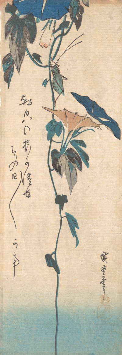 Sprinkhaan en ochtendglorie wijnstok door Ando Hiroshige