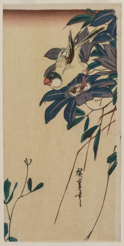 Grosbeak en Clematis, midden jaren 1830 door Ando Hiroshige