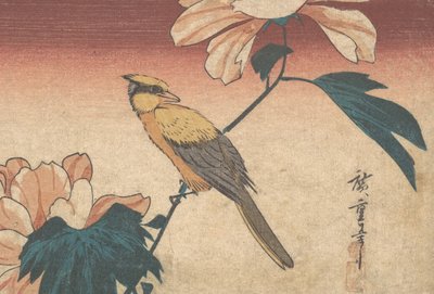 Hibiscus Mutabilis en Jay door Ando Hiroshige