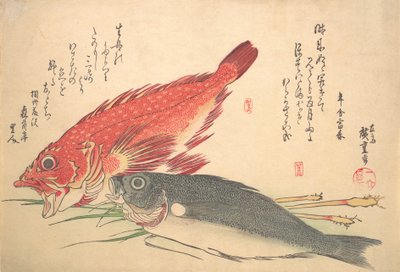 Isaki en Kasago Vis, uit de serie Uozukushi Elke Soort Vis door Ando Hiroshige