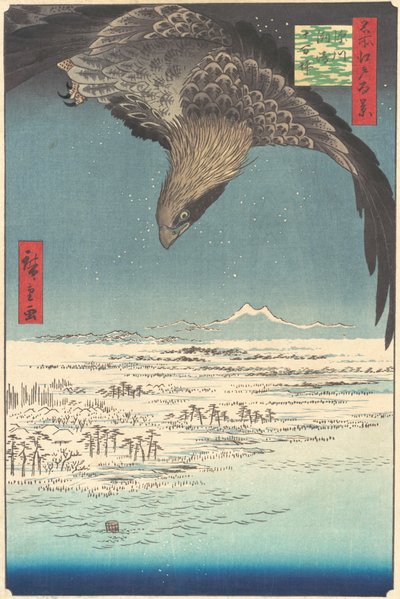 Jumantsubo-vlakte bij Fukagawa Susaki, uit de serie Honderd Beroemde Zichten van Edo, 1856 door Ando Hiroshige