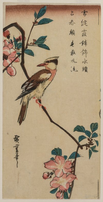 Koreaanse Nachtegaal op Kersen Tak door Ando Hiroshige