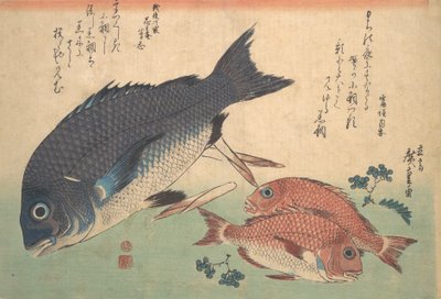 Kurodai en Kodai Vis met Bamboescheuten en Bessen, uit de serie Uozukushi Every V..., 1830s door Ando Hiroshige