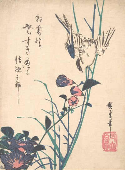 Grootbloemige Platte Bek en Mus, ca. 1833 door Ando Hiroshige