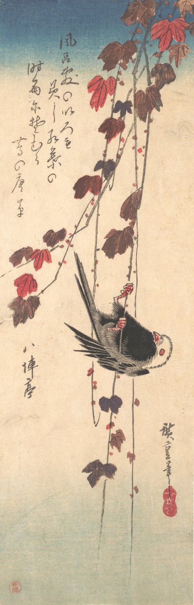 Staartmees op herfstklimop door Ando Hiroshige