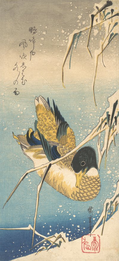 Wilde eend en met sneeuw bedekte rietstengels door Ando Hiroshige