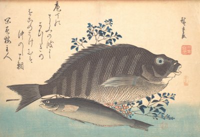 Shimadai en Ainame Vis, uit de serie Uozukushi Elke Soort Vis, 1840s door Ando Hiroshige