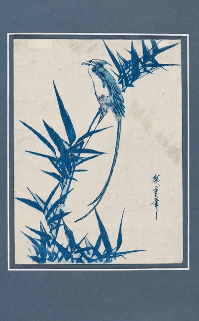 Ukiyo-e print - Vogel op een tak in blauw door Ando Hiroshige