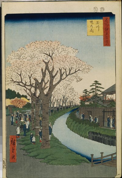 Honderd Beroemde Zichten van Edo: Kersenbloesems aan de Oever van de Tama-rivier door Ando or Utagawa Hiroshige