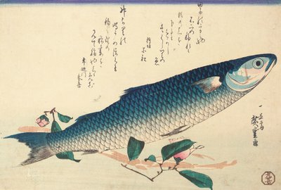 Grijze harder, camelia en udo door Ando or Utagawa Hiroshige