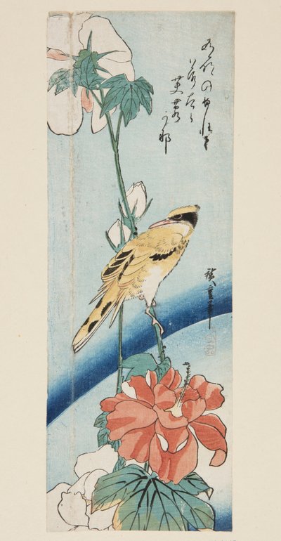 Hibiscus en Zwartnekoriole door Ando or Utagawa Hiroshige