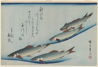School van Vijf Zeeforellen, Edo Periode (kleur houtsnede op papier) door Ando or Utagawa Hiroshige