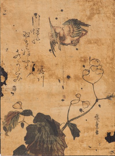 Studie van vogel en plant door Ando or Utagawa Hiroshige