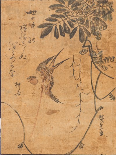 Studie van Vogel in Vlucht en Plant door Ando or Utagawa Hiroshige