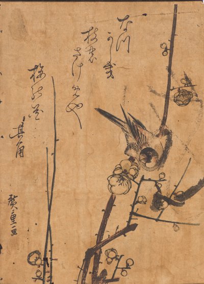 Studie van vogel op tak door Ando or Utagawa Hiroshige