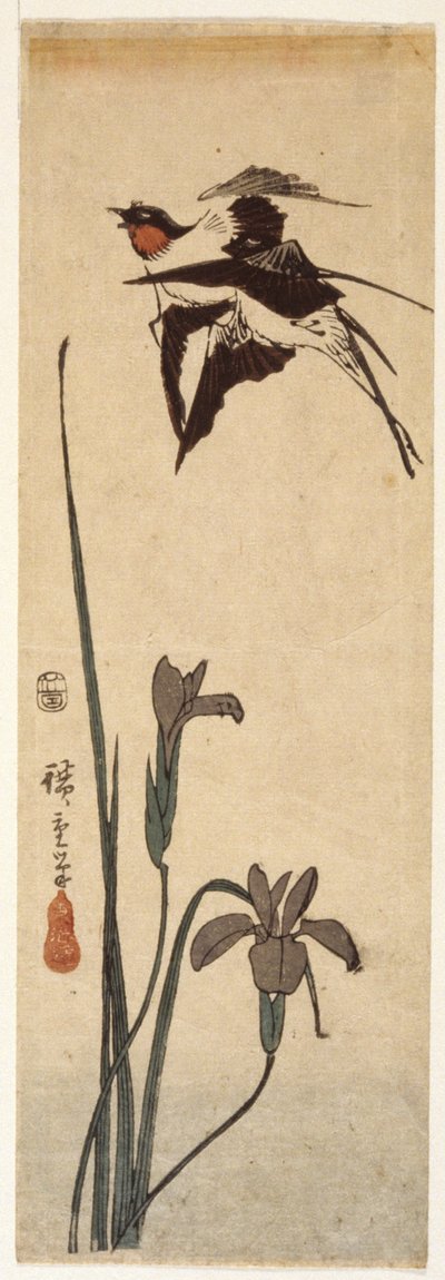 Zwaluwen en iris door Ando or Utagawa Hiroshige