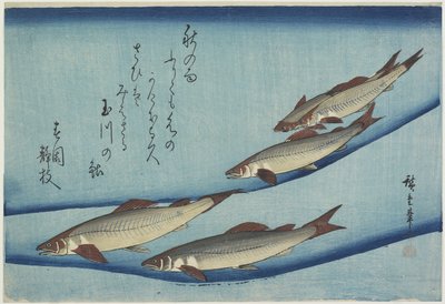 Forel door Ando or Utagawa Hiroshige