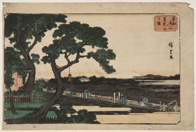 Uitzicht op Matsuchiyama door Ando or Utagawa Hiroshige