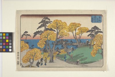 Gezichten van Yedo door Ando or Utagawa Hiroshige