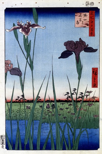 Wateriris - Japanse prent door Utagawa Hiroshige. Honderd gezichten van Edo door Ando or Utagawa Hiroshige
