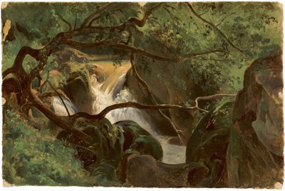 Bosinterieur met een waterval, Papigno, 1825-1830 door André Giroux