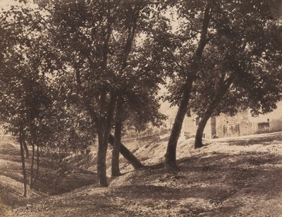 Bomen door André Giroux