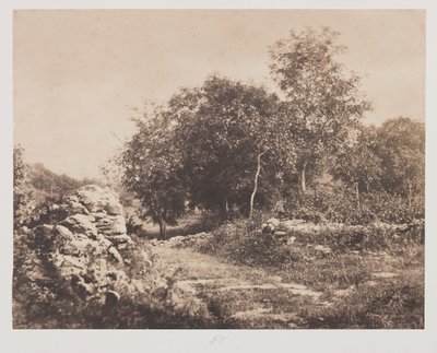 Zonder Titel (Scène van Fontainbleau) door André Giroux